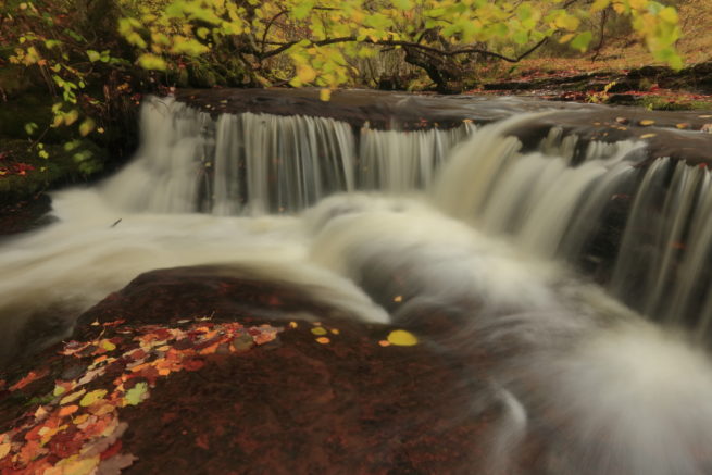 Otoño en el Río Camesa