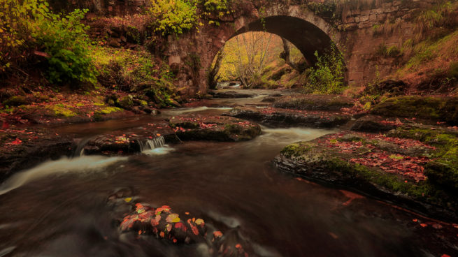 Puente sobre el río camesa