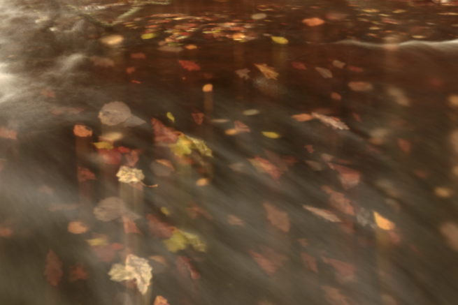 Otoño