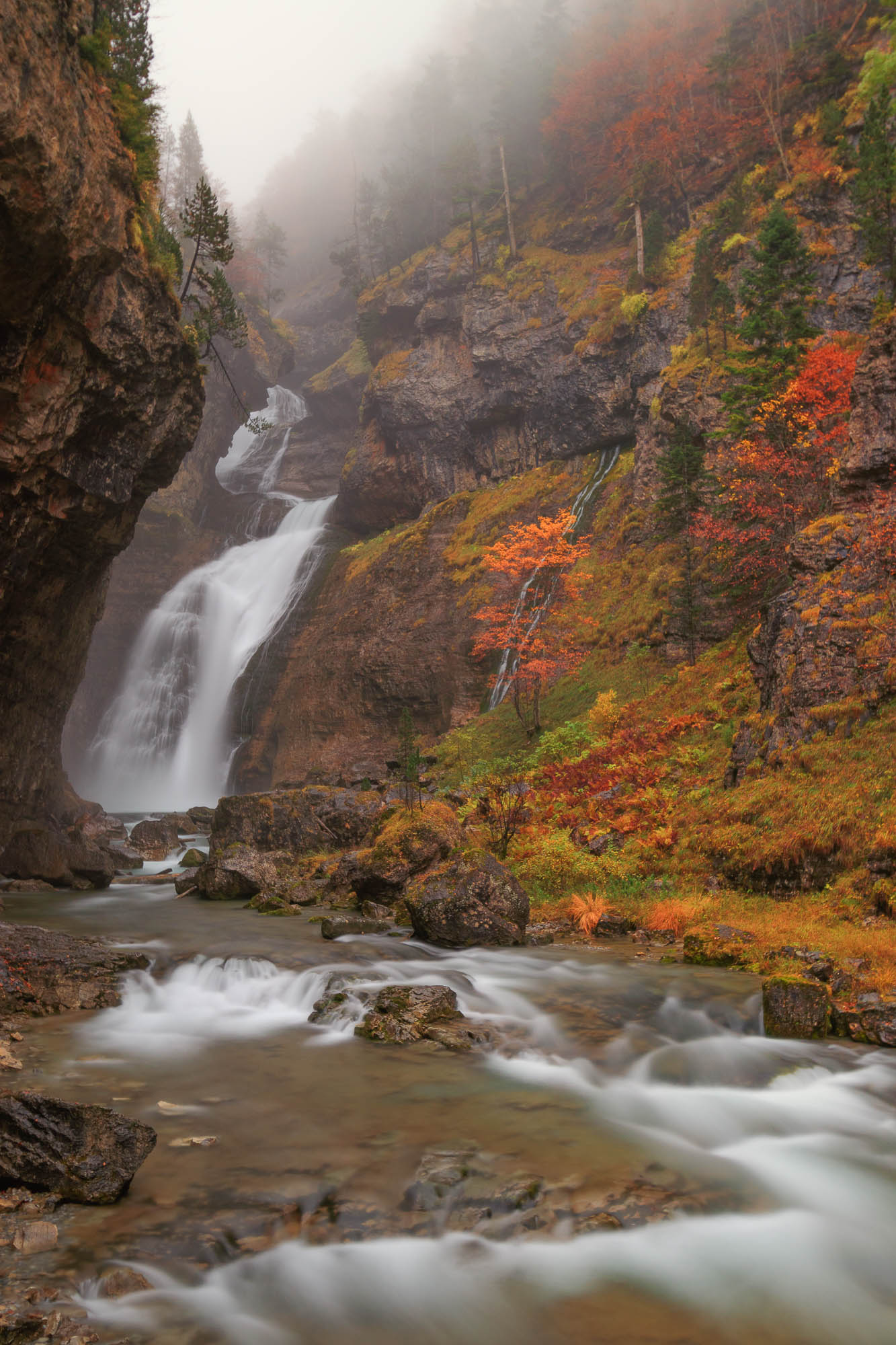 Bosque de otoño en el valle de Ordesa