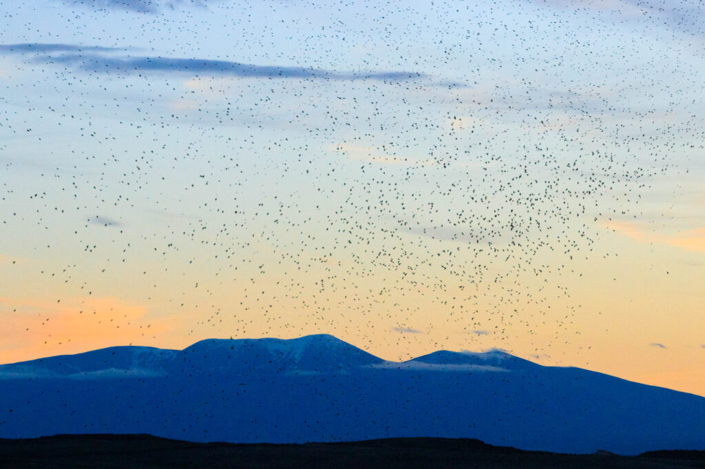 Fotografía de paisaje en Bardenas Reales