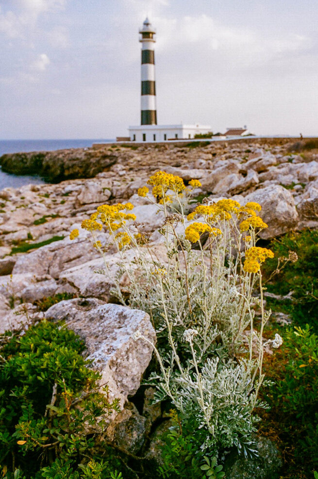 Fotografía analógica, Menorca