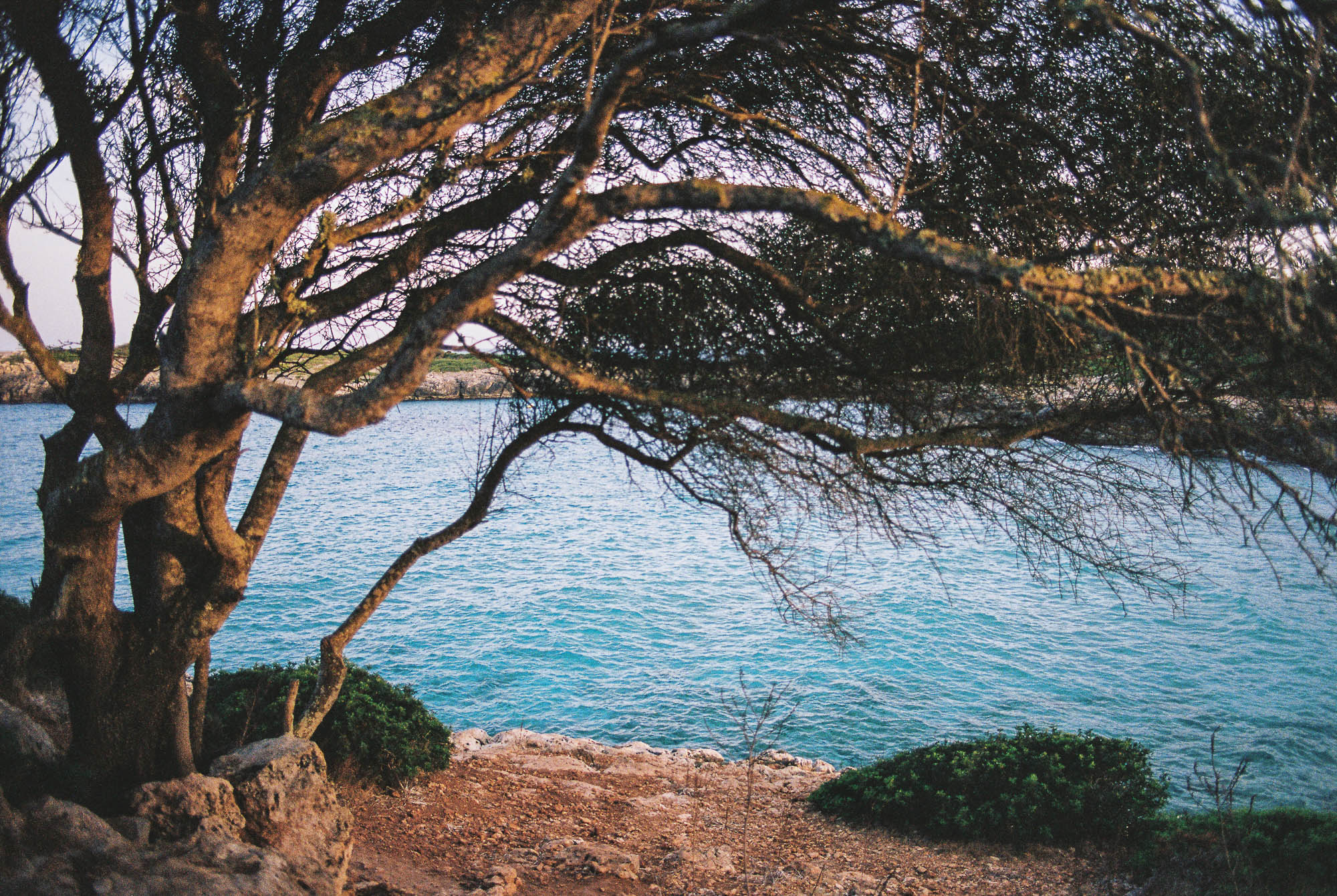 Playa en Mallorca