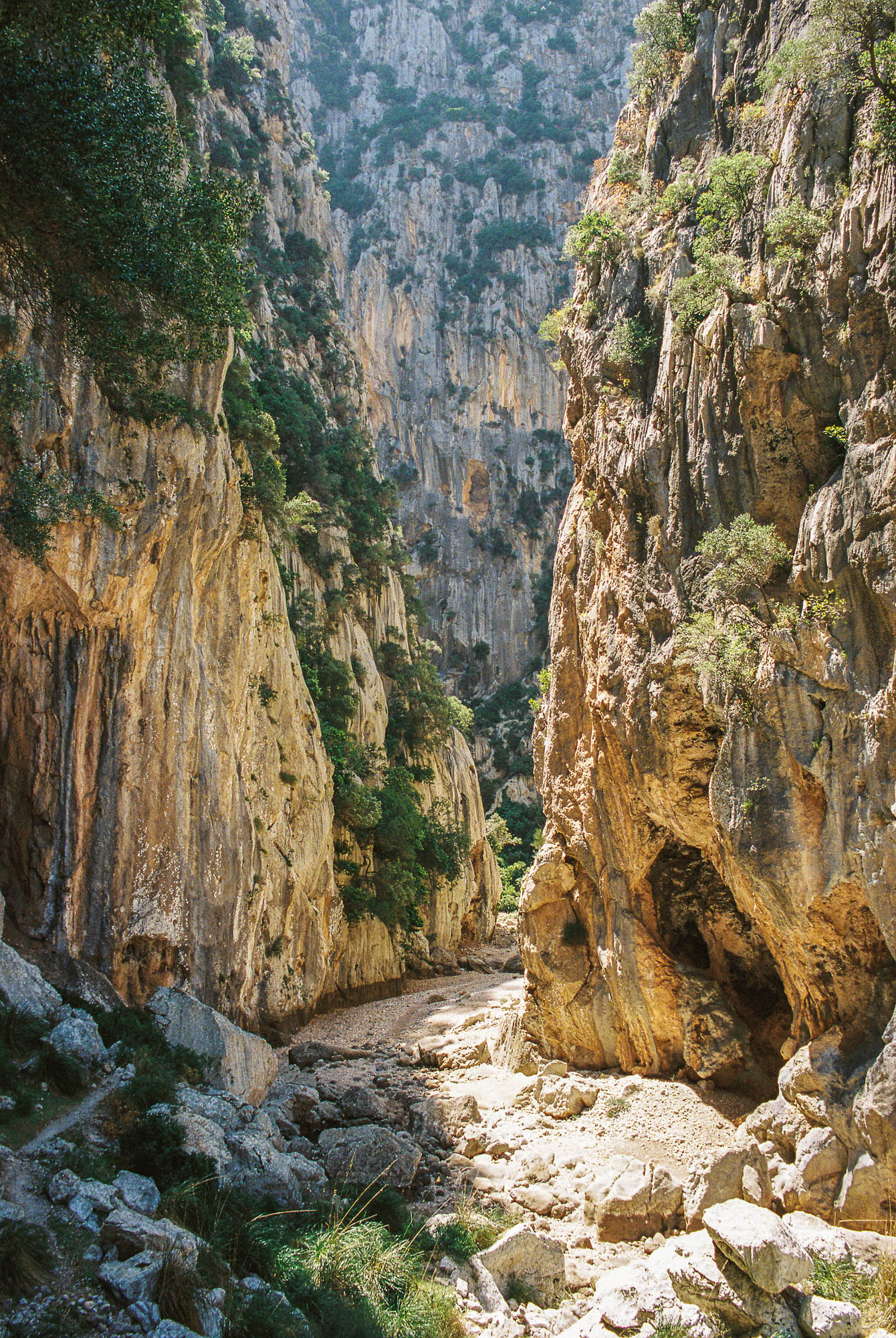Torrent de Pareis