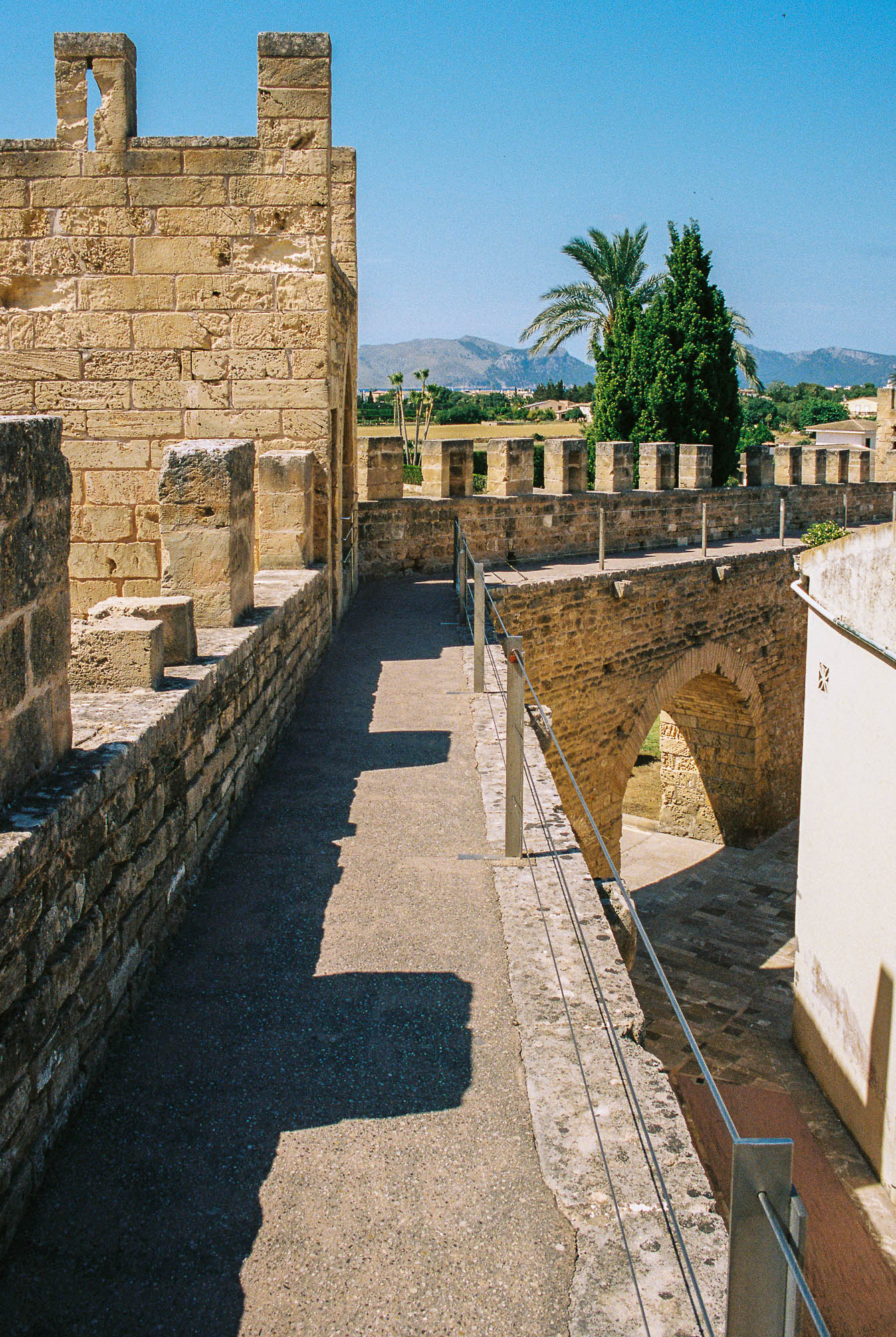 Alcudia