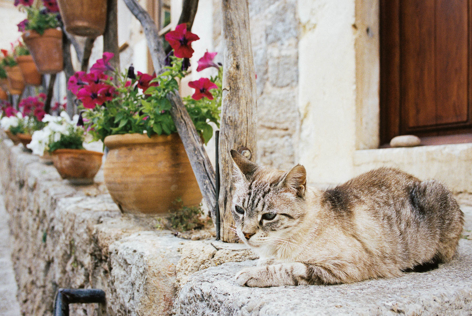 Valldemossa