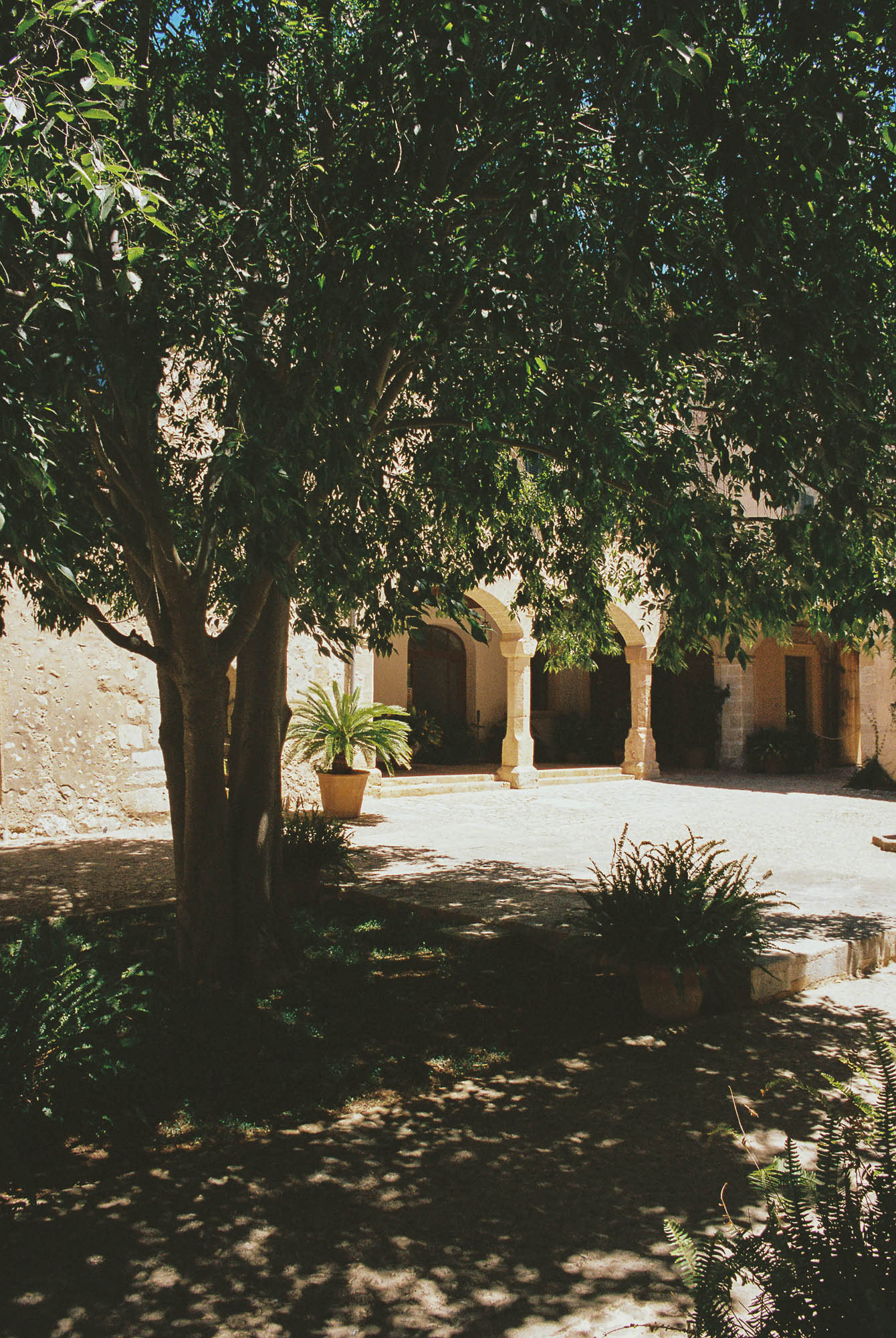 Finca Raixa